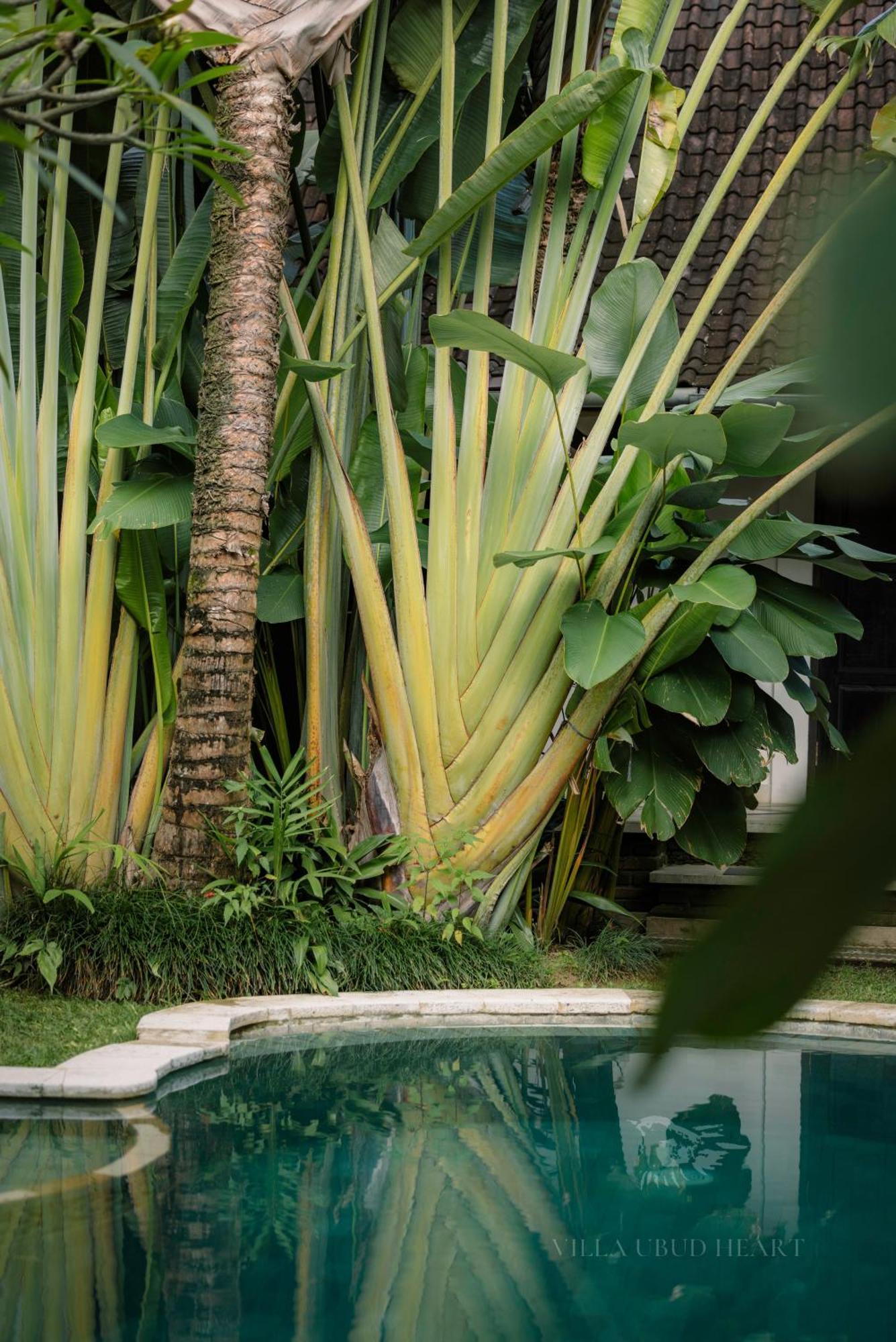 Villa Ubud Heart Exteriér fotografie